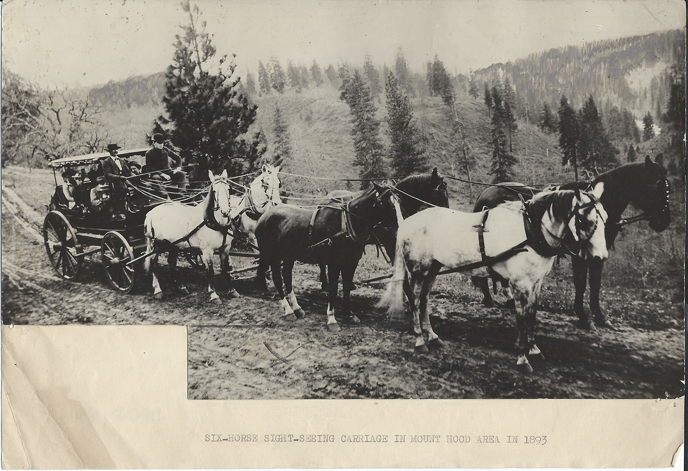 Six-horse sight-seeing carriage in Mount Hood area in 1893