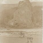 Cross and Dimmit Columbia River Highway Postcard