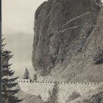 Cross and Dimmit Columbia River Highway Postcard
