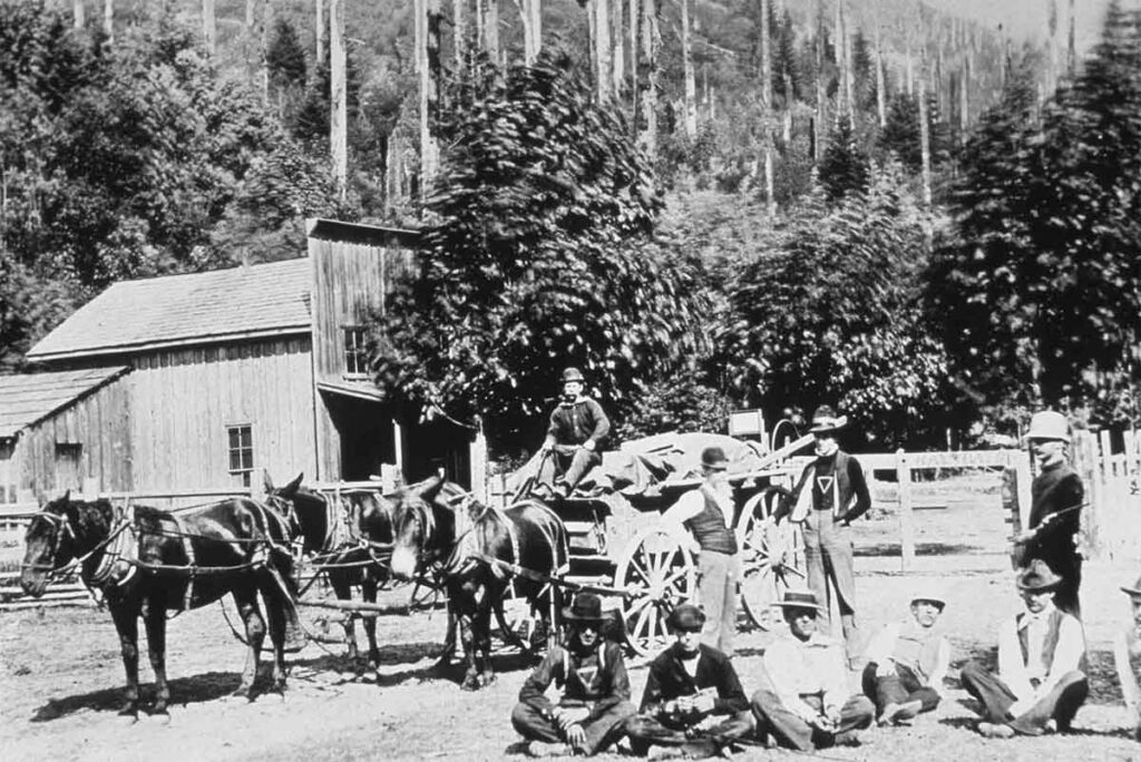 Murder on Mount Hood