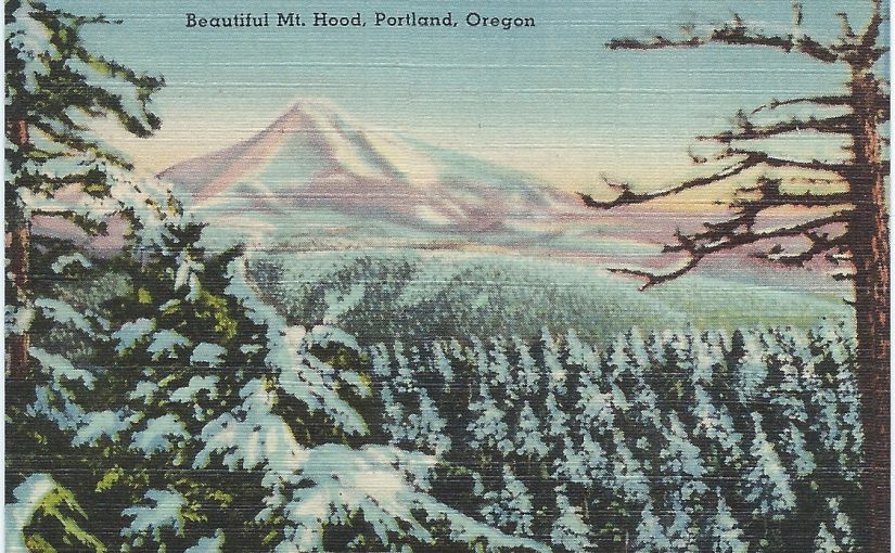 20 Assorted Views of Portland, Oregon