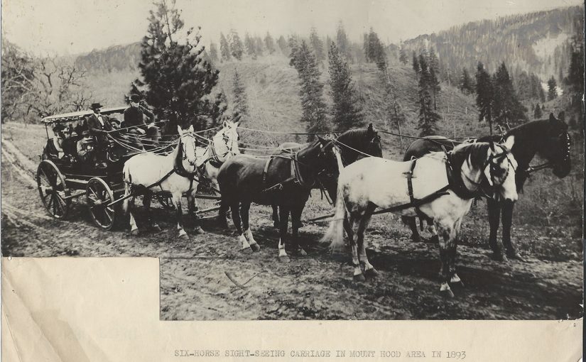 Six Horse Mt Hood Area Sightseeing Carriage Photo